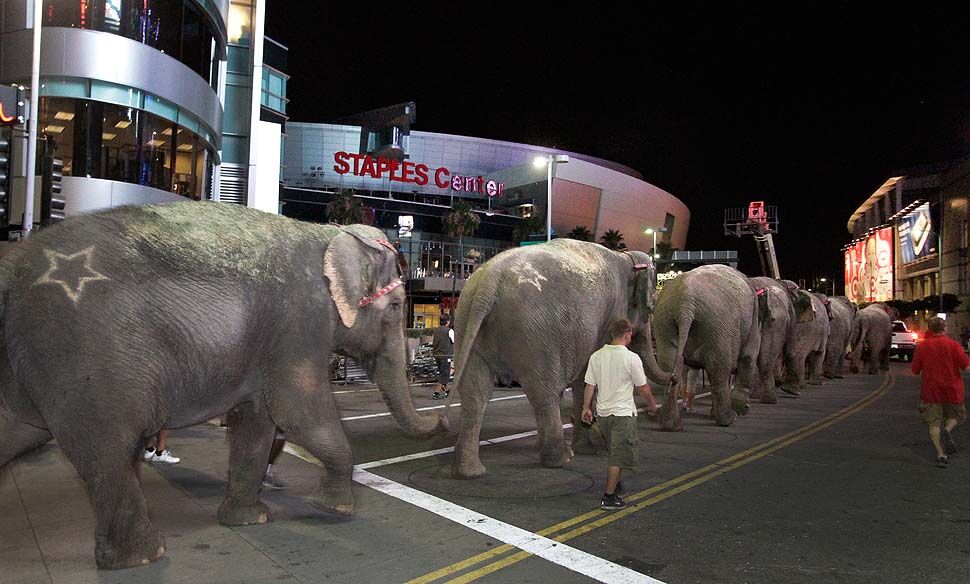 Картина дня: 20 липня о фотографіях