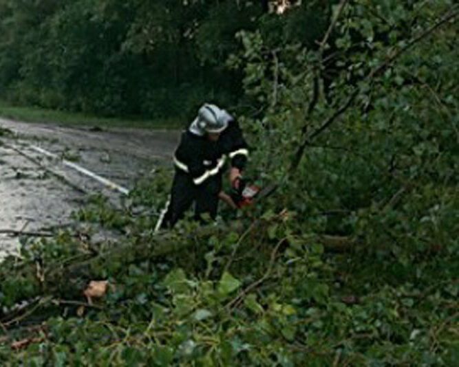 На трассе Тернополь - Львов деревья повредили автомобили