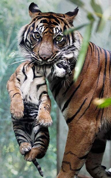 Картина дня: 20 липня о фотографіях