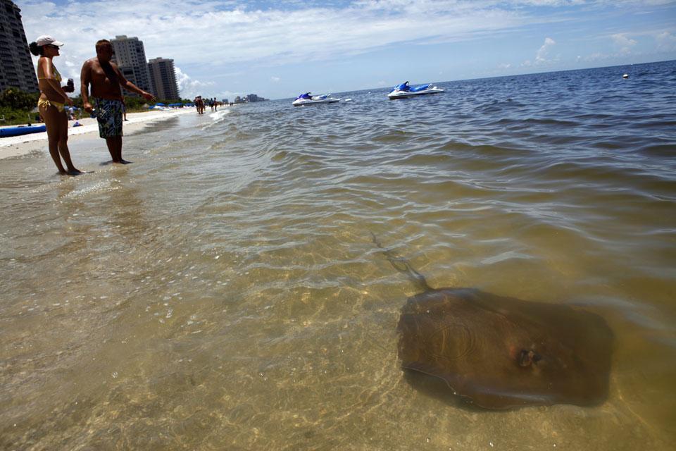 Картина дня: 20 липня о фотографіях