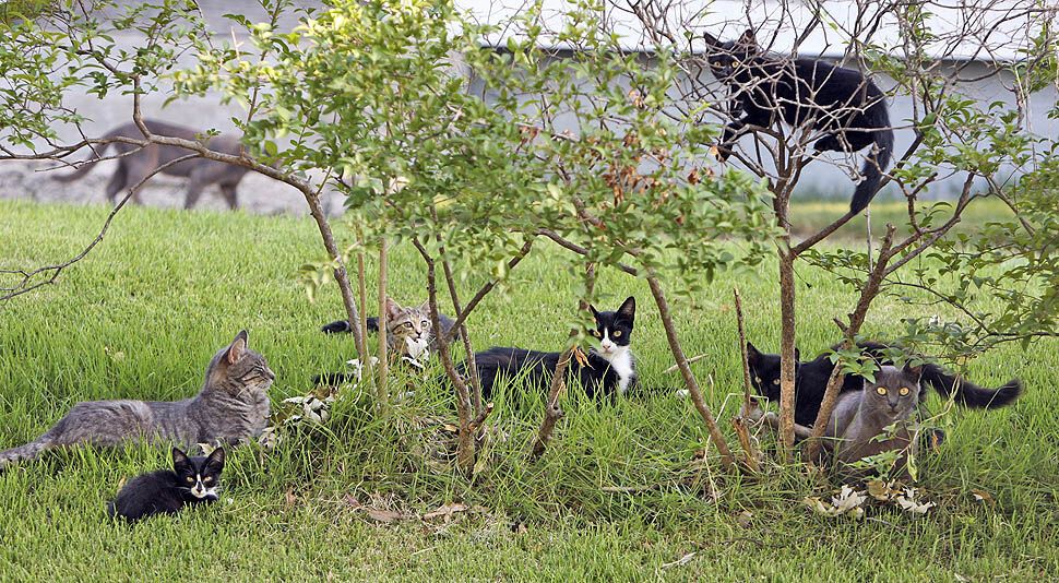 Картина дня: 21 июля в фотографиях