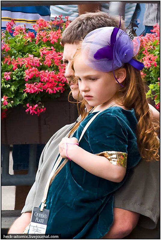 Канадські королівські скачки The Queens 'Plate