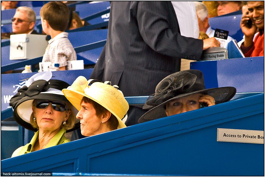 Канадські королівські скачки The Queens 'Plate