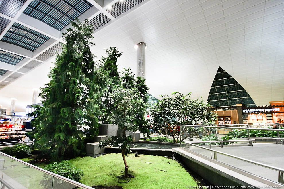 Аеропорт в пустелі