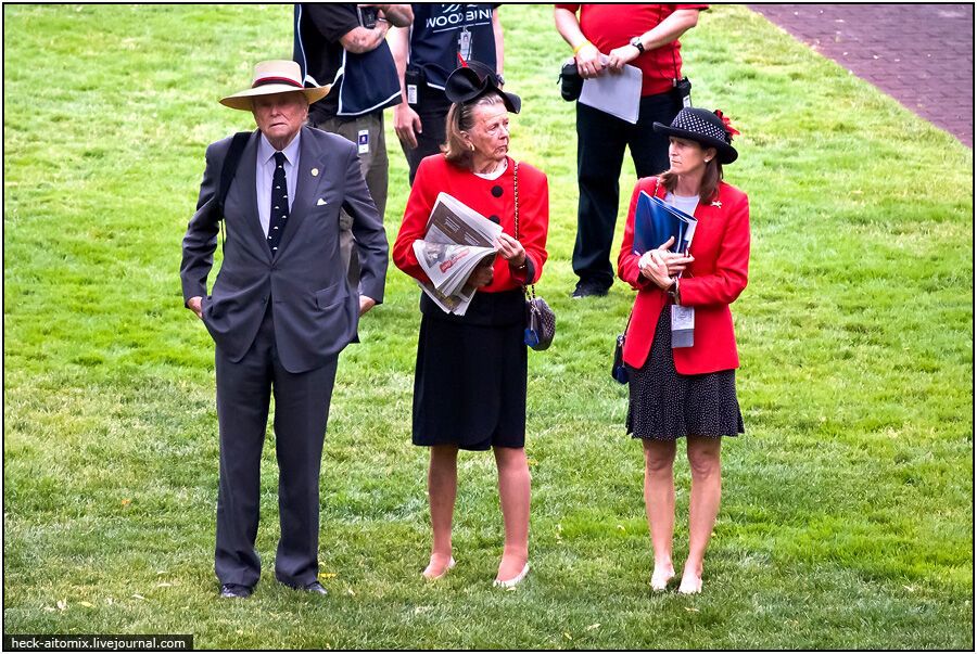 Канадські королівські скачки The Queens 'Plate