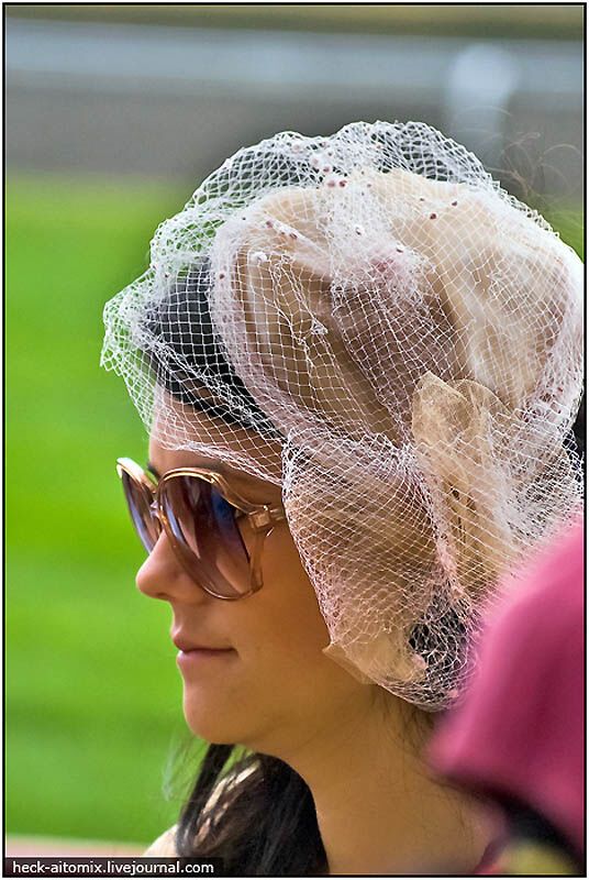 Канадські королівські скачки The Queens 'Plate