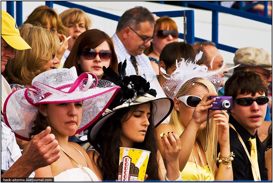 Канадські королівські скачки The Queens 'Plate