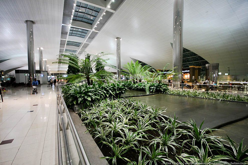 Аеропорт в пустелі