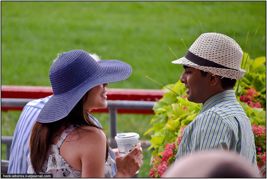 Канадські королівські скачки The Queens 'Plate