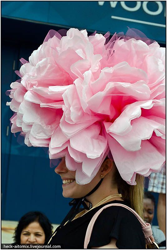 Канадські королівські скачки The Queens 'Plate