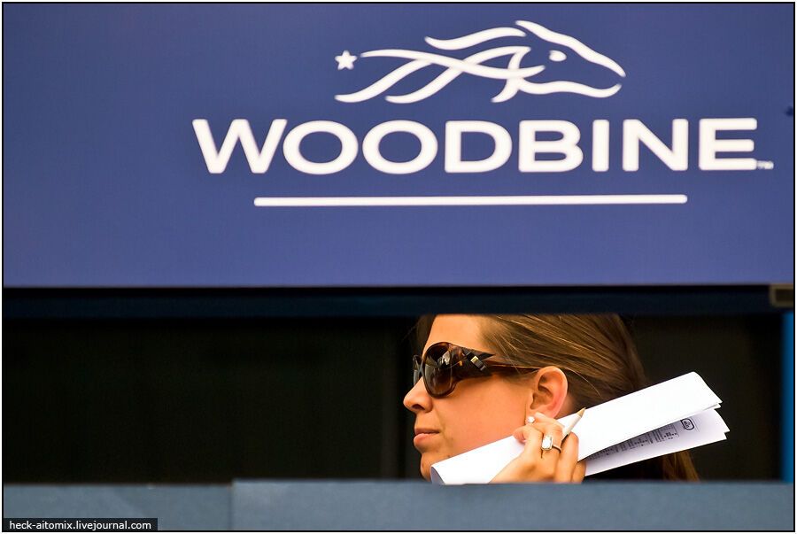 Канадські королівські скачки The Queens 'Plate