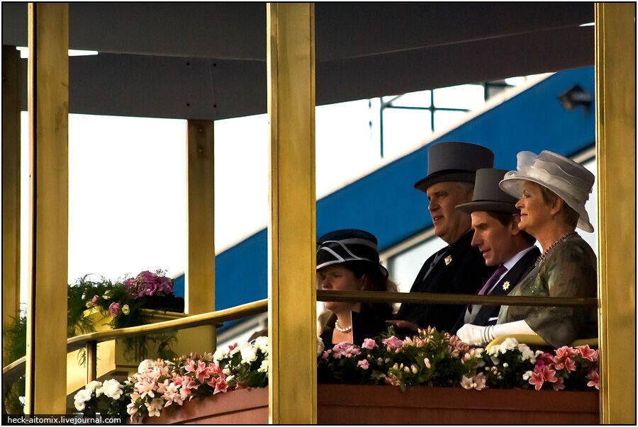 Канадські королівські скачки The Queens 'Plate