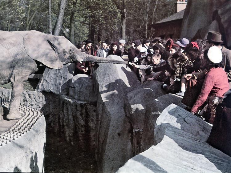 Оккупированный Париж. Взгляд с другой стороны