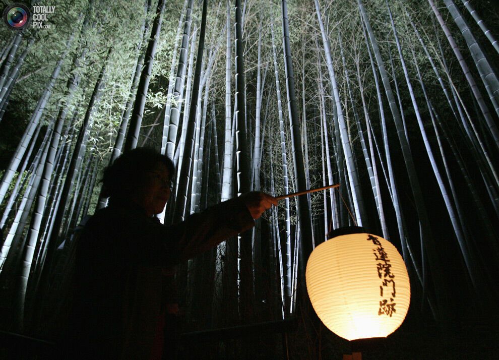 Манящая тиша ночі