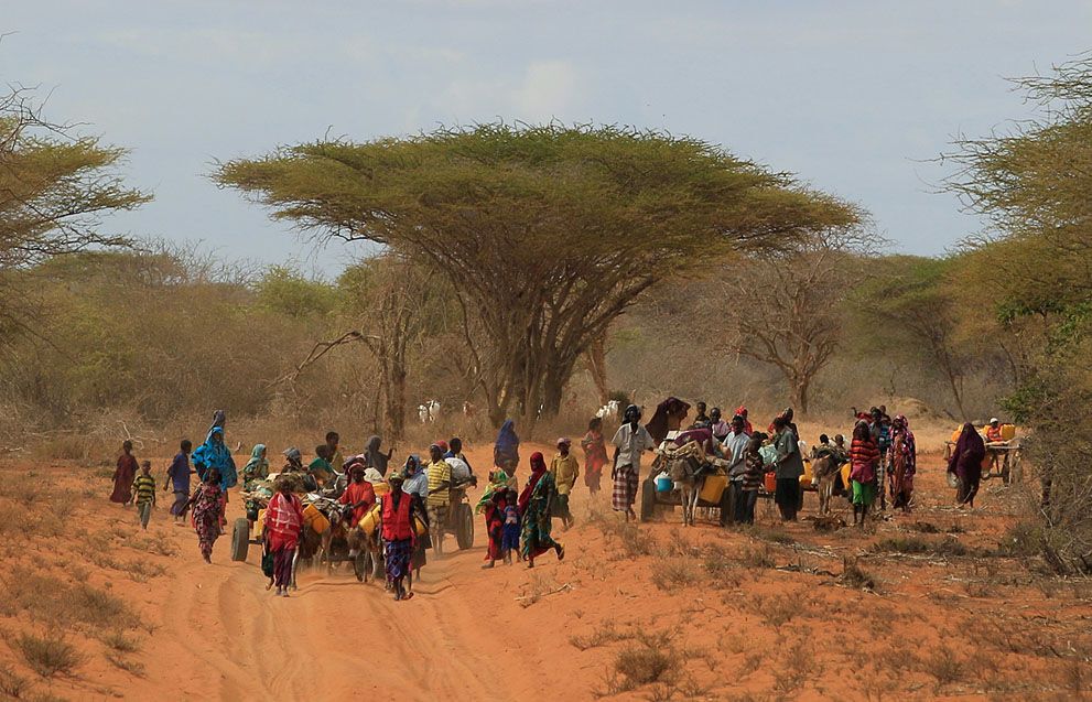 Голод у Східній Африці