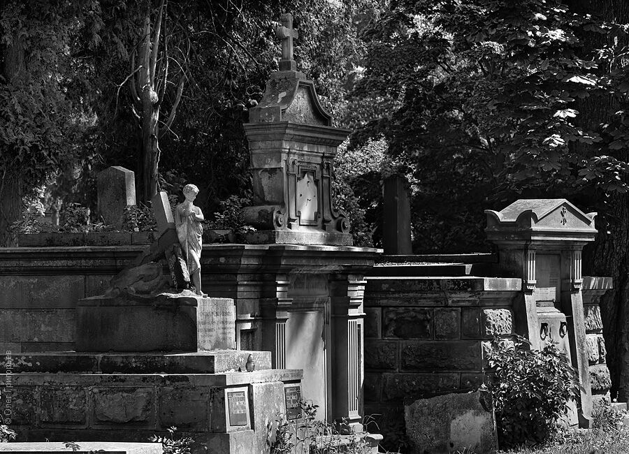 Львов: Лычаковское кладбище