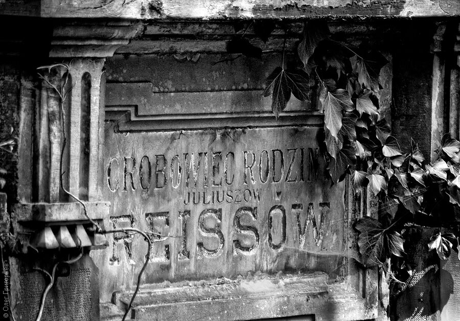 Львов: Лычаковское кладбище