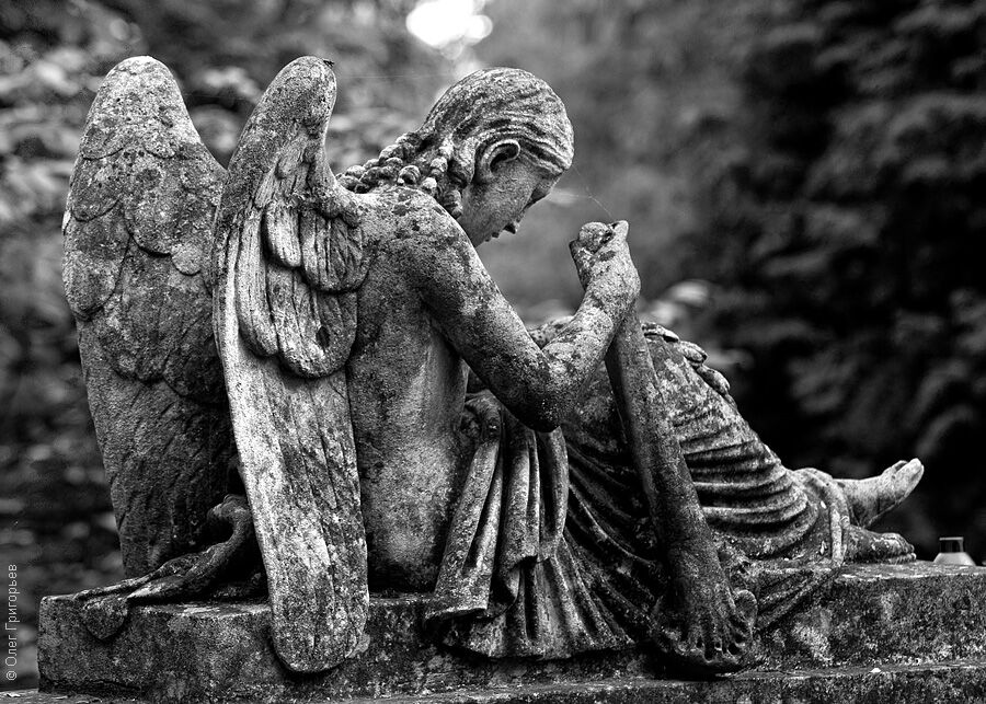 Львов: Лычаковское кладбище