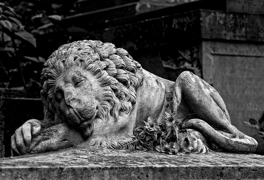 Львов: Лычаковское кладбище