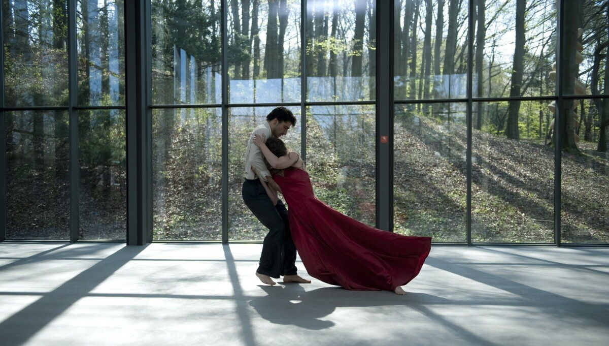 В Одессе покажут арт-хаус в 3D