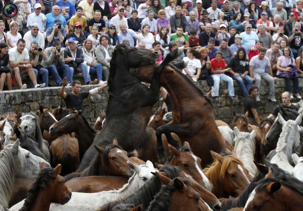 Укрощение лошадей: Фестиваль Rapa das Bestas
