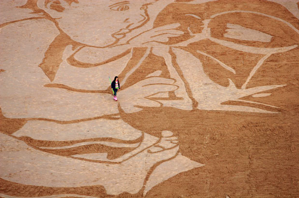 Удивительные работы на песке