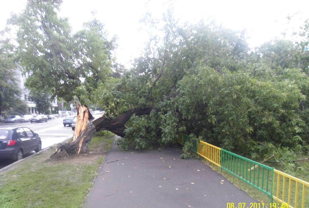 На Москву обрушился ливень со снегом. Фото. Видео