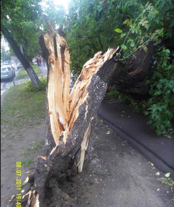 На Москву обрушился ливень со снегом. Фото. Видео