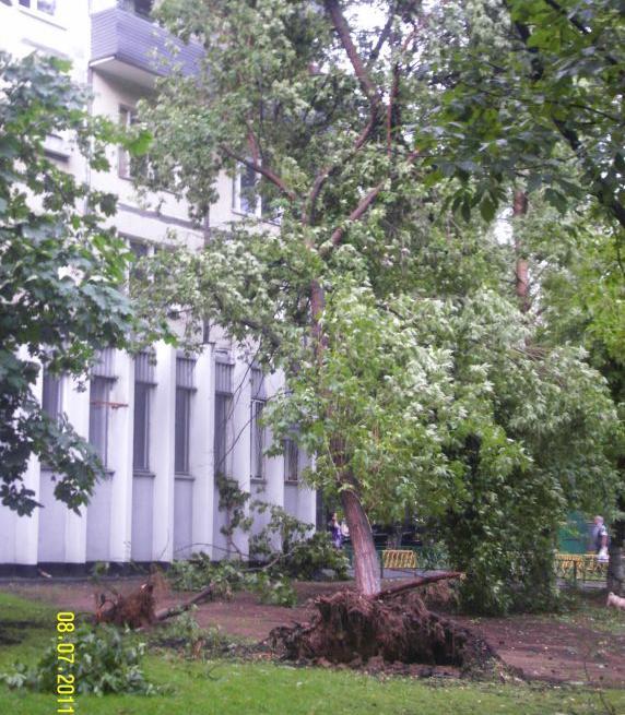 На Москву обрушился ливень со снегом. Фото. Видео