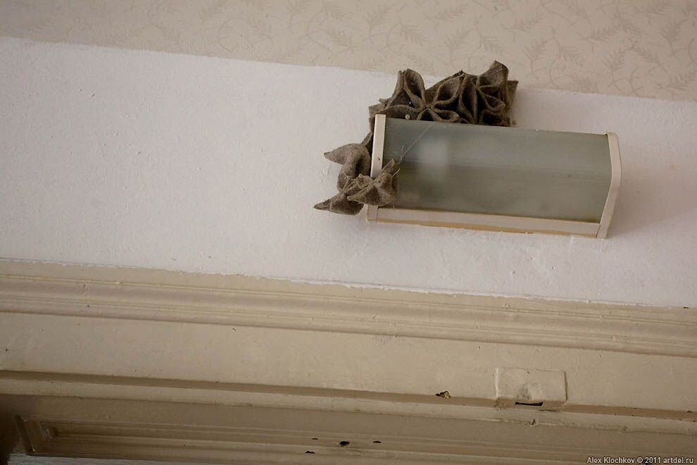 Фотографії з незвичайною виставки в Чехії