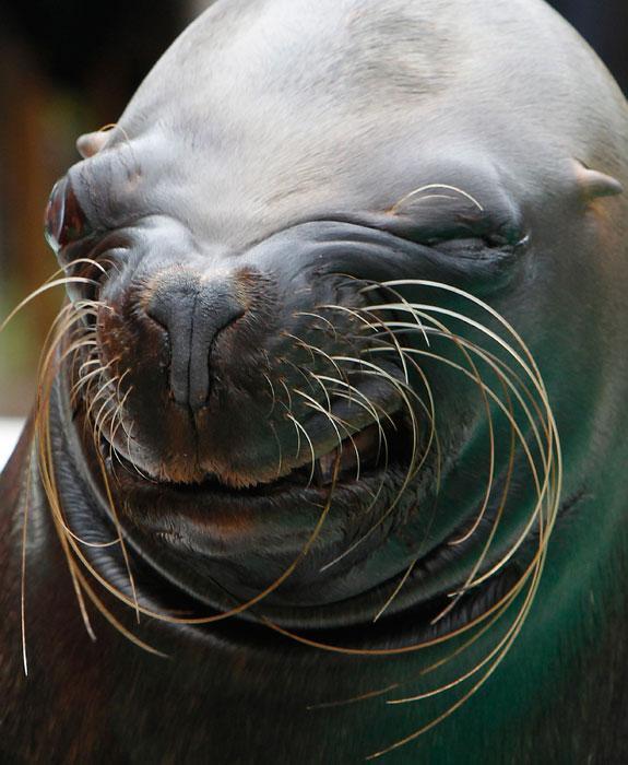 Картина дня: 2 серпня в фотографіях