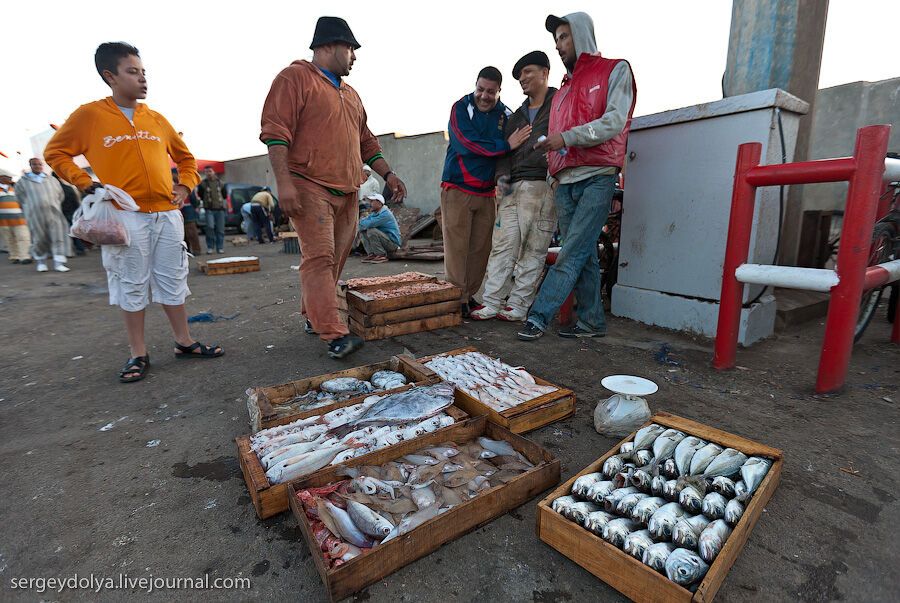 Марокко: Эссуэйра и рыбный рынок Агадира
