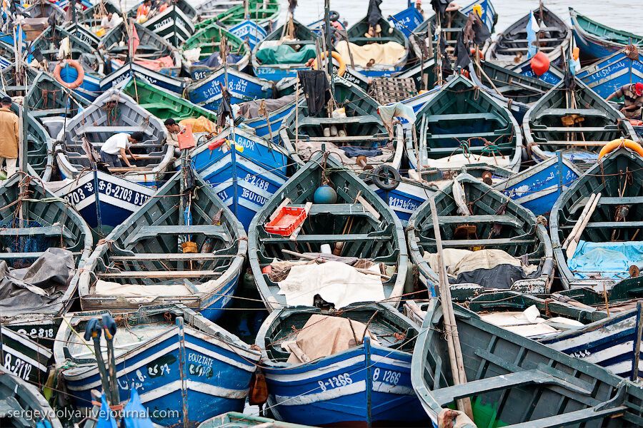 Марокко: Ессуейра і рибний ринок Агадира