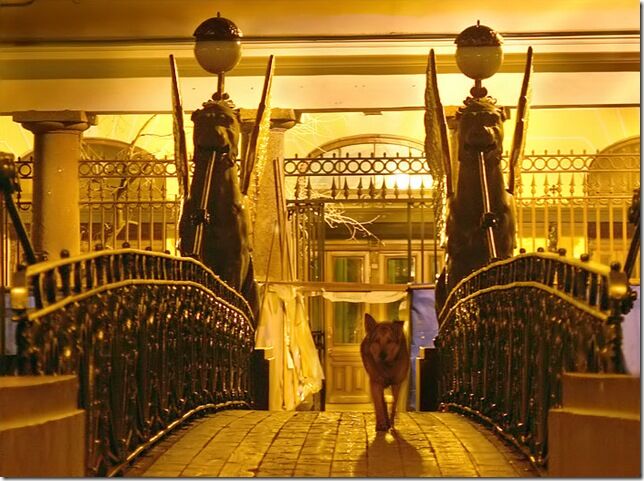 Знамениті мости Петербурга