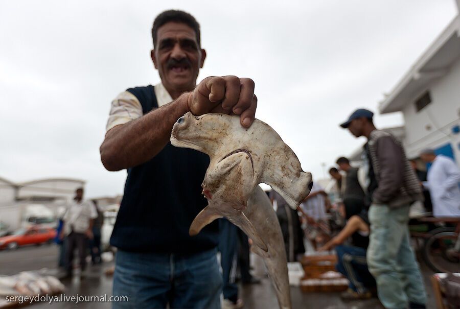 Марокко: Эссуэйра и рыбный рынок Агадира