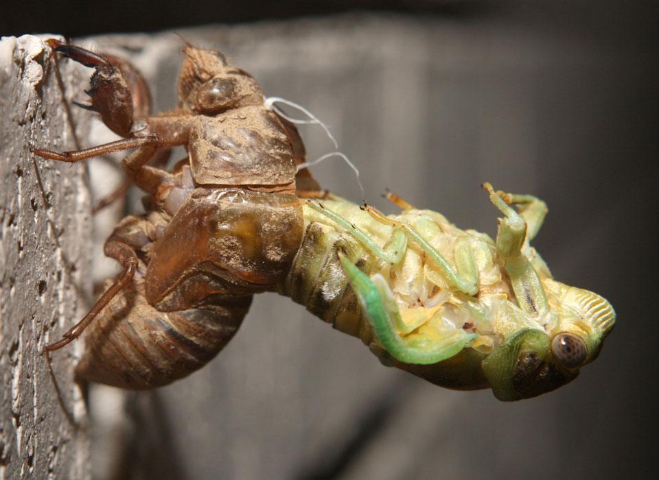 Картина дня: 2 серпня в фотографіях