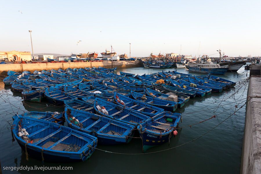 Марокко: Ессуейра і рибний ринок Агадира
