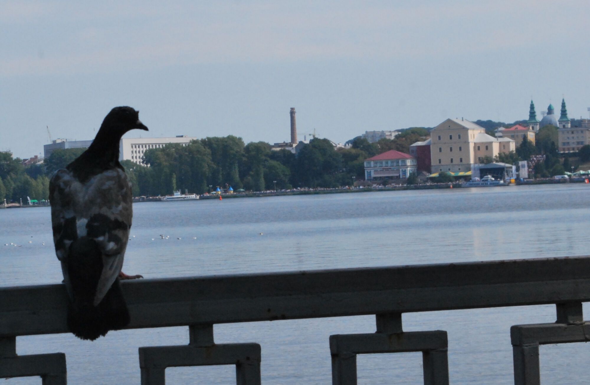Формула-1 в Тернополе. Фоторепортаж 