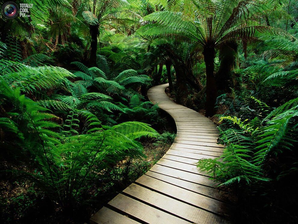 44 фото дивовижної краси природи