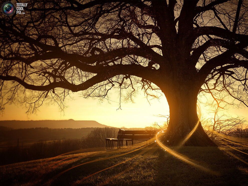 44 фото дивовижної краси природи