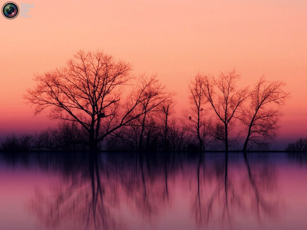 44 фото дивовижної краси природи
