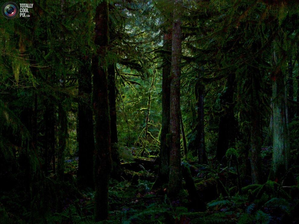 44 фото дивовижної краси природи