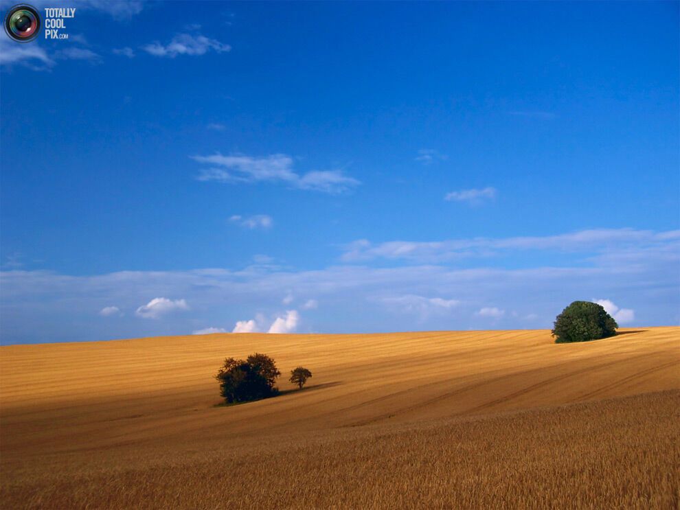 44 фото дивовижної краси природи