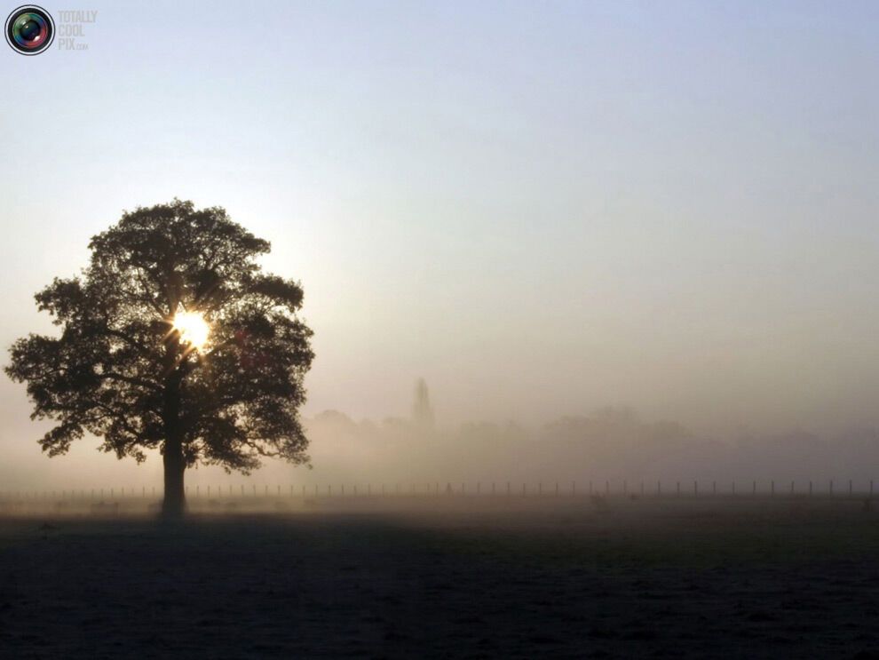 44 фото дивовижної краси природи