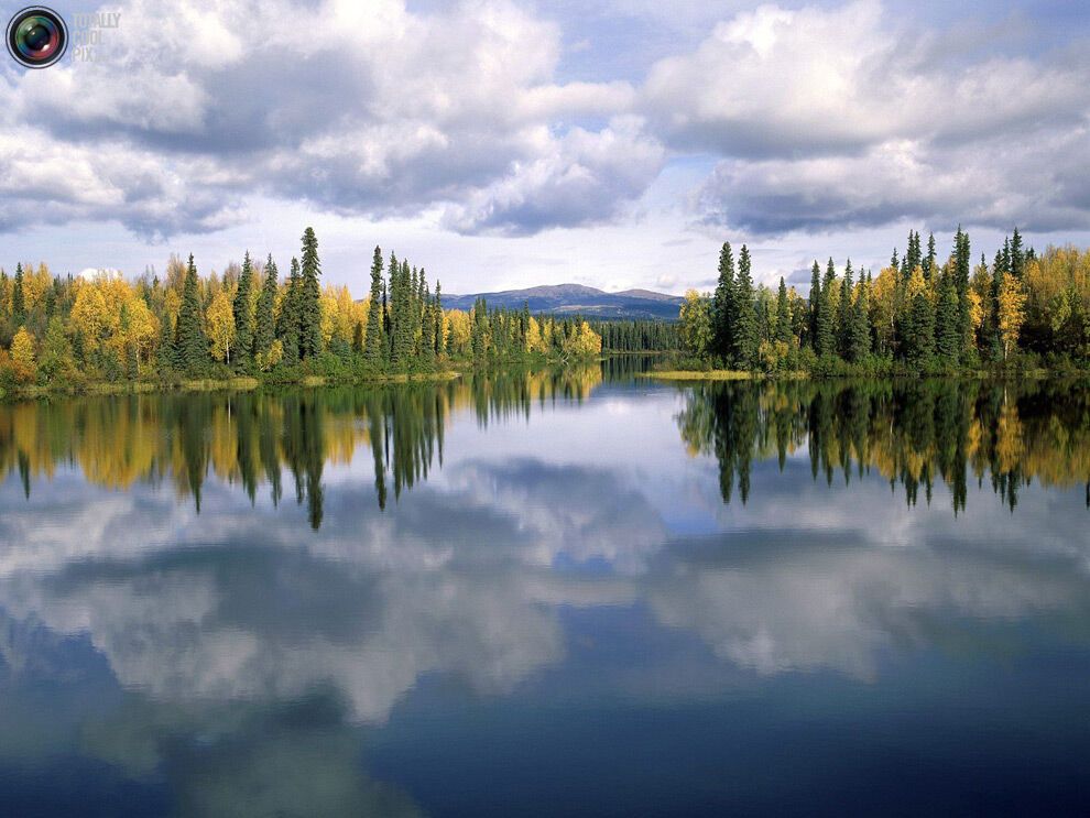 44 фото дивовижної краси природи