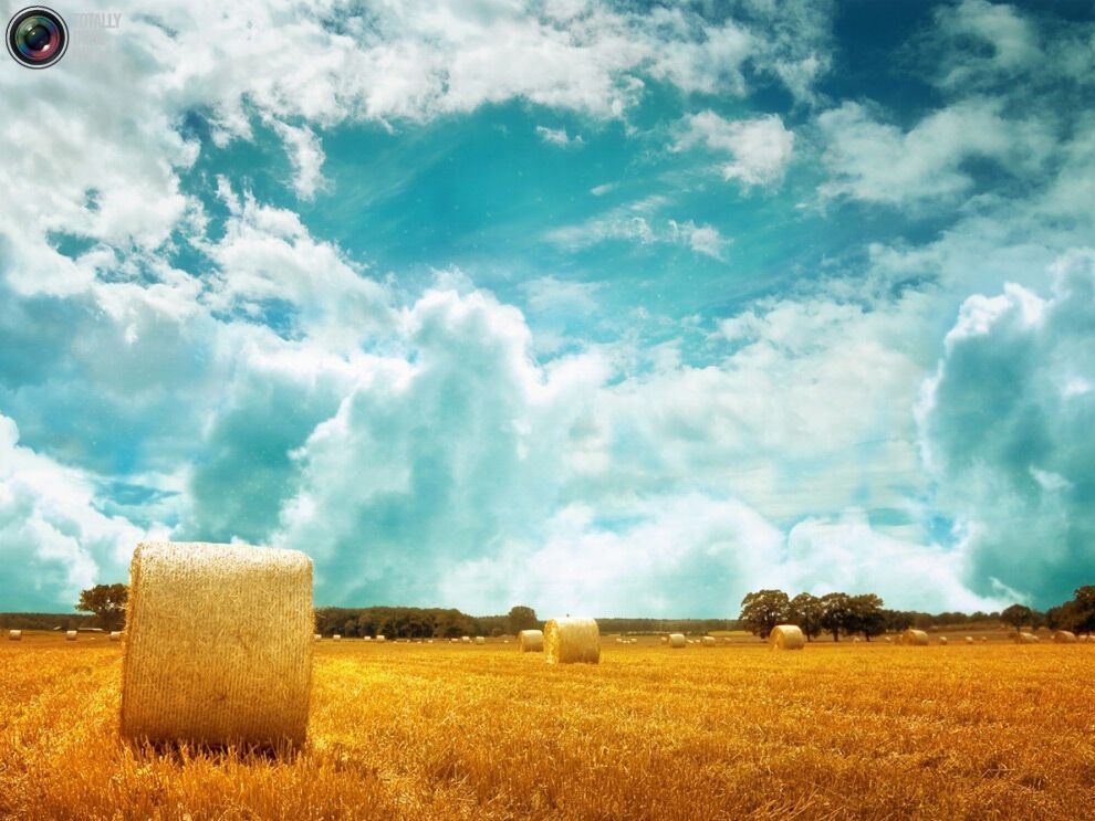 44 фото дивовижної краси природи