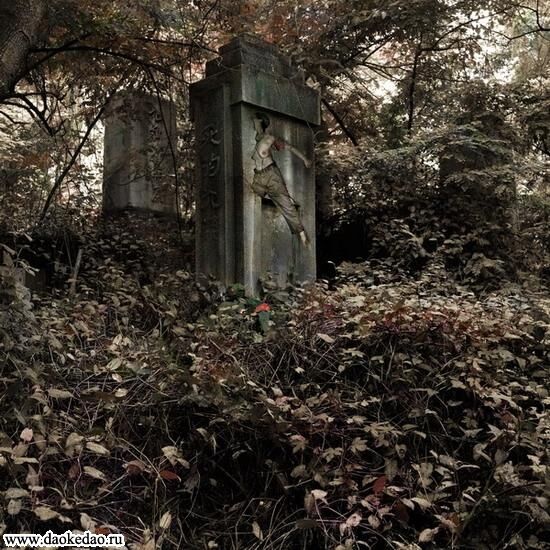 Тіні хунвейбінів