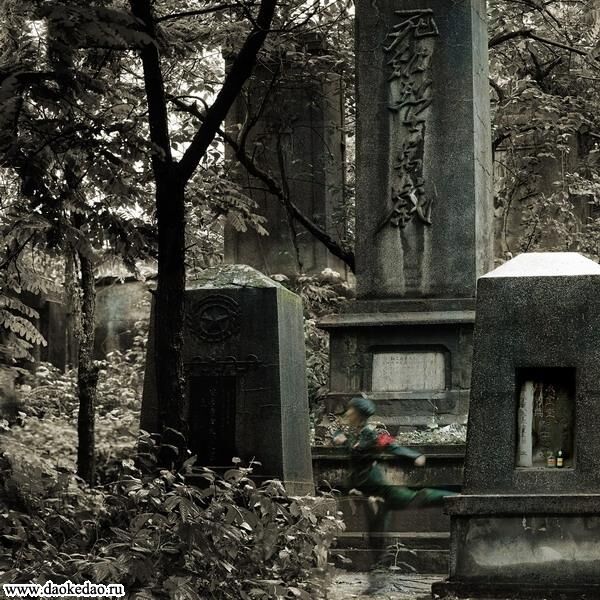 Тіні хунвейбінів