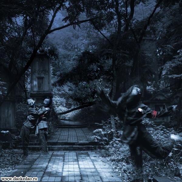 Тіні хунвейбінів