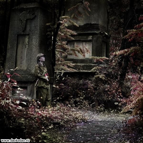 Тіні хунвейбінів